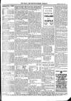 Bray and South Dublin Herald Saturday 13 March 1909 Page 11