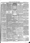 Bray and South Dublin Herald Saturday 20 March 1909 Page 5