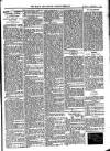 Bray and South Dublin Herald Saturday 04 December 1909 Page 5