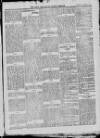 Bray and South Dublin Herald Saturday 02 January 1915 Page 11