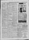Bray and South Dublin Herald Saturday 13 February 1915 Page 3
