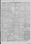 Bray and South Dublin Herald Saturday 20 February 1915 Page 3