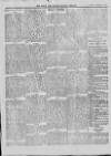 Bray and South Dublin Herald Saturday 20 February 1915 Page 5
