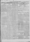 Bray and South Dublin Herald Saturday 20 February 1915 Page 9
