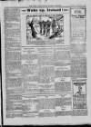 Bray and South Dublin Herald Saturday 27 February 1915 Page 11