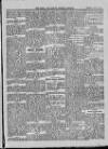 Bray and South Dublin Herald Saturday 24 April 1915 Page 5