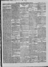 Bray and South Dublin Herald Saturday 24 April 1915 Page 9