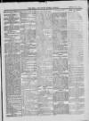 Bray and South Dublin Herald Saturday 01 May 1915 Page 9