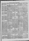 Bray and South Dublin Herald Saturday 15 May 1915 Page 5