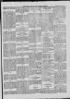 Bray and South Dublin Herald Saturday 15 May 1915 Page 9