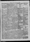 Bray and South Dublin Herald Saturday 05 June 1915 Page 7