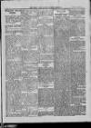 Bray and South Dublin Herald Saturday 05 June 1915 Page 9