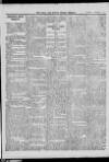 Bray and South Dublin Herald Saturday 11 September 1915 Page 9