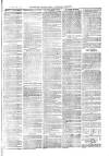Sydenham, Forest Hill & Penge Gazette Saturday 14 August 1875 Page 8