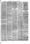 Sydenham, Forest Hill & Penge Gazette Saturday 21 August 1875 Page 7
