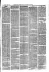 Sydenham, Forest Hill & Penge Gazette Saturday 11 September 1875 Page 3