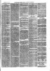 Sydenham, Forest Hill & Penge Gazette Saturday 02 October 1875 Page 3