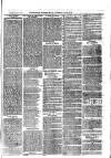 Sydenham, Forest Hill & Penge Gazette Saturday 09 October 1875 Page 7