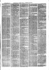 Sydenham, Forest Hill & Penge Gazette Saturday 16 October 1875 Page 3