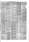 Sydenham, Forest Hill & Penge Gazette Saturday 27 November 1875 Page 7