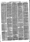 Sydenham, Forest Hill & Penge Gazette Saturday 25 March 1876 Page 3
