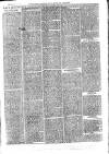 Sydenham, Forest Hill & Penge Gazette Saturday 09 September 1876 Page 7