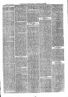 Sydenham, Forest Hill & Penge Gazette Saturday 08 January 1876 Page 3