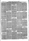 Sydenham, Forest Hill & Penge Gazette Saturday 09 December 1876 Page 3