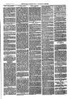 Sydenham, Forest Hill & Penge Gazette Saturday 27 January 1877 Page 3