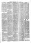 Sydenham, Forest Hill & Penge Gazette Saturday 09 June 1877 Page 3