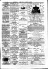 Sydenham, Forest Hill & Penge Gazette Saturday 22 February 1879 Page 3
