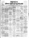 Sydenham, Forest Hill & Penge Gazette Saturday 04 August 1894 Page 1