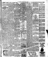 Woodford and District Advertiser Saturday 12 February 1910 Page 3
