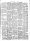 Woodford Times Saturday 07 August 1869 Page 3