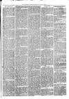 Woodford Times Saturday 25 December 1869 Page 7