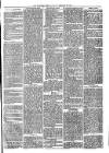 Woodford Times Saturday 19 February 1870 Page 3