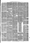 Woodford Times Saturday 18 June 1870 Page 3