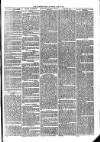 Woodford Times Saturday 10 June 1871 Page 3