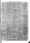 Woodford Times Saturday 10 June 1871 Page 7