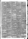 Woodford Times Saturday 25 November 1871 Page 3