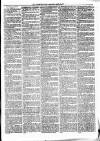 Woodford Times Saturday 25 April 1874 Page 3