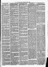 Woodford Times Saturday 05 June 1875 Page 3
