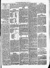 Woodford Times Saturday 26 June 1875 Page 5