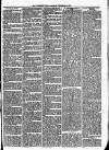 Woodford Times Saturday 11 September 1875 Page 3