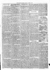 Woodford Times Saturday 10 June 1876 Page 3