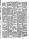 Woodford Times Saturday 03 February 1877 Page 7