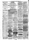 Woodford Times Saturday 03 February 1877 Page 8