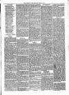Woodford Times Saturday 03 March 1877 Page 7