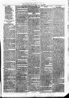 Woodford Times Saturday 05 January 1878 Page 7