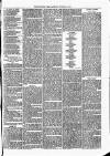 Woodford Times Saturday 12 October 1878 Page 7